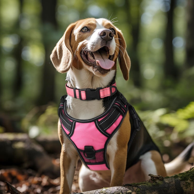 Joytale Reflective Dog Collar, Soft Neoprene Padded, Metal D-Ring, Nylon Pet Collar Adjustable for Large Dogs, Neon Pink, L - Image 2